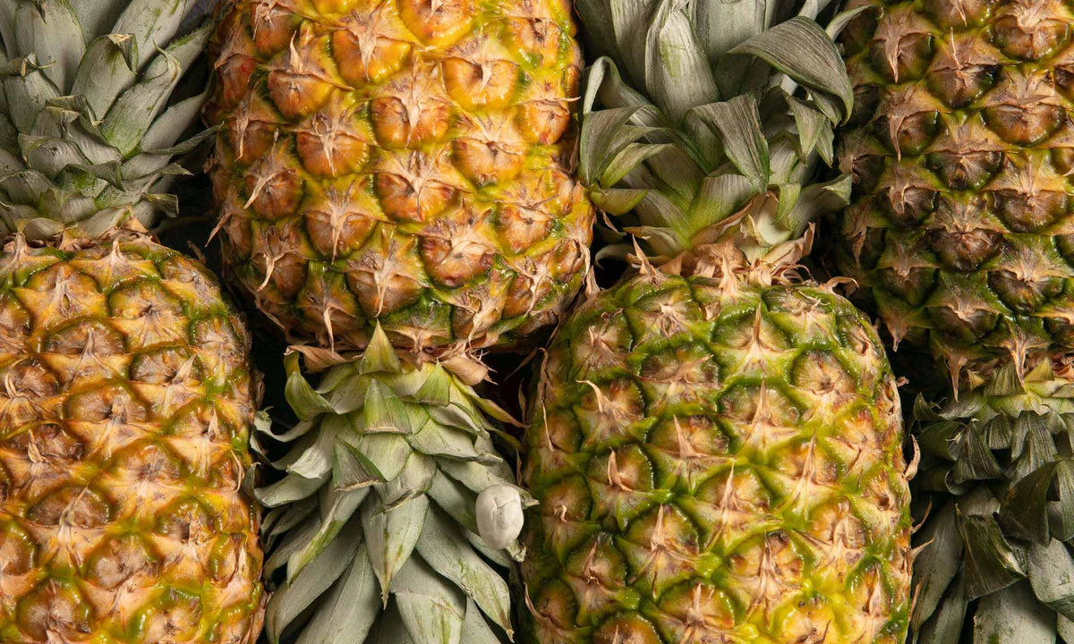 Frische gelbliche Ananas Stauden liegen nebeneinander