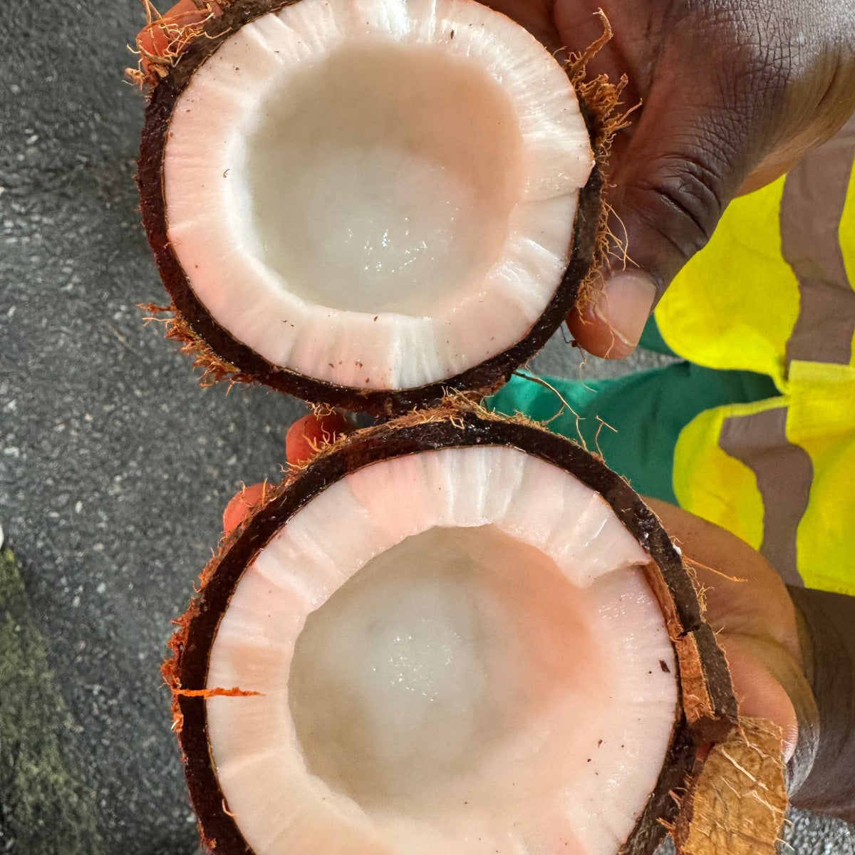 Aufgeschnittene braune Kokosnuss mit weissem Fruchtfleisch, die nass glaenzt