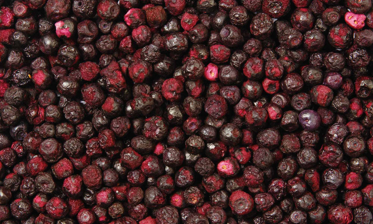 Viele kleine runde und lilane buah gefriergetrocknete Blaubeeren liegen auf und nebeneinander