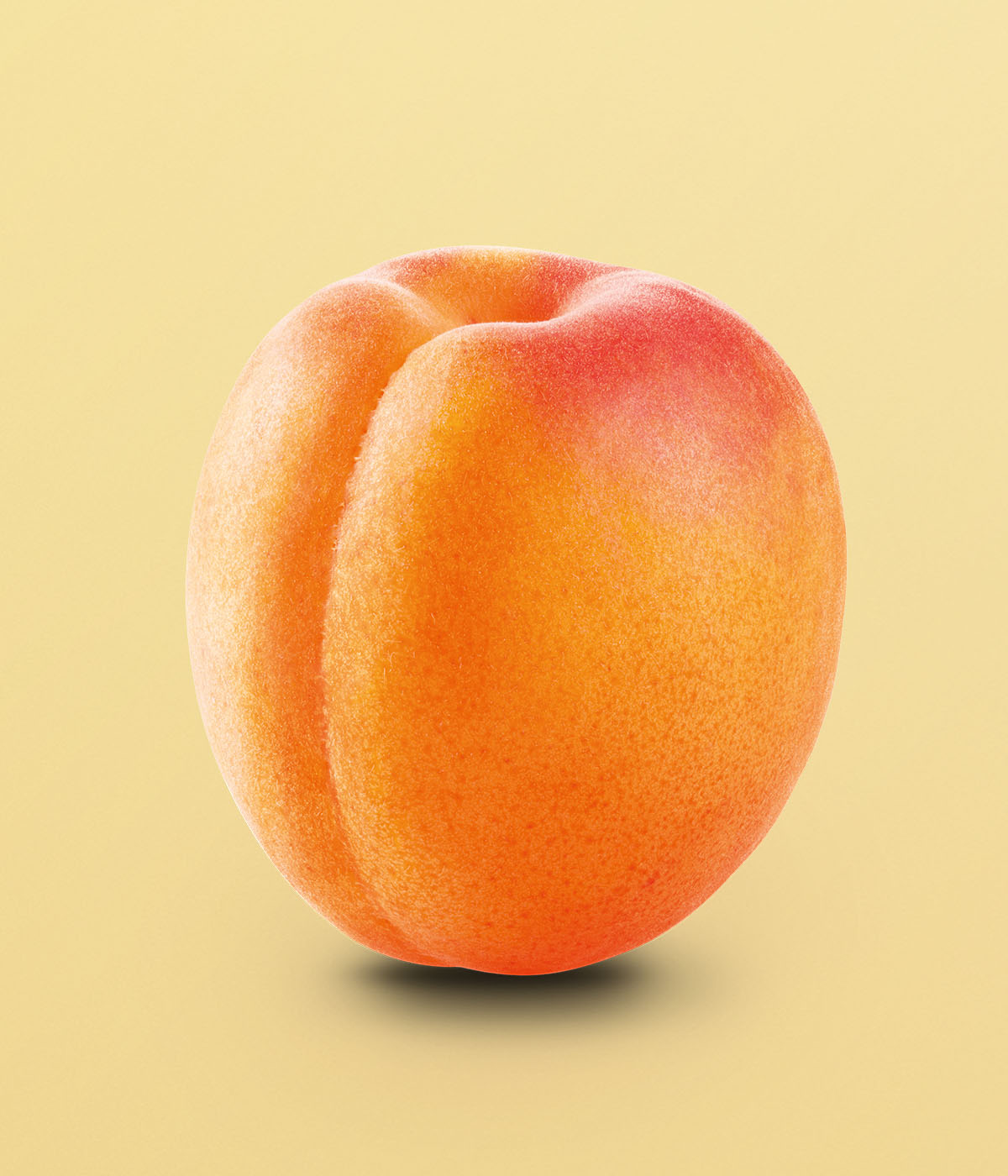Reife, pralle, Orangene Aprikose mit roetlicher Verfaerbung vor gelbem Hintergrund. 